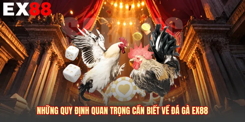 Những quy định quan trọng cần biết về đá gà EX88 