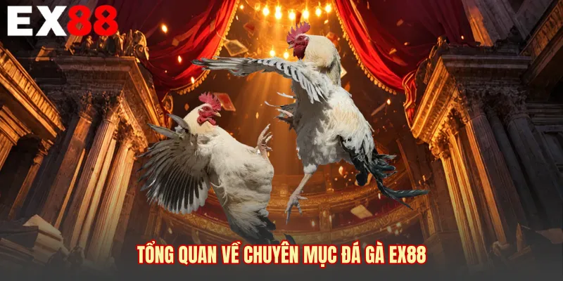 Tổng quan về chuyên mục đá gà EX88 